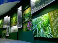 草原文化绿色主题博物馆展览展示效果